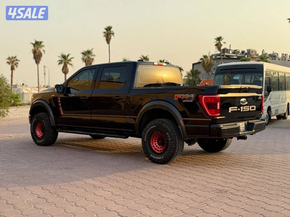 وانيت ٢٠٢٢ F-150 FX4 صبغ الوكالة9