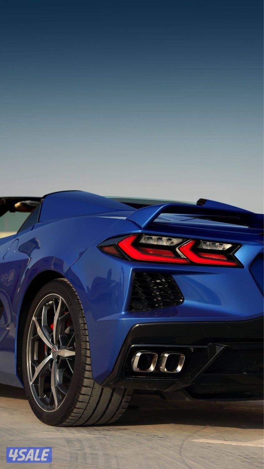 صباح السالم4