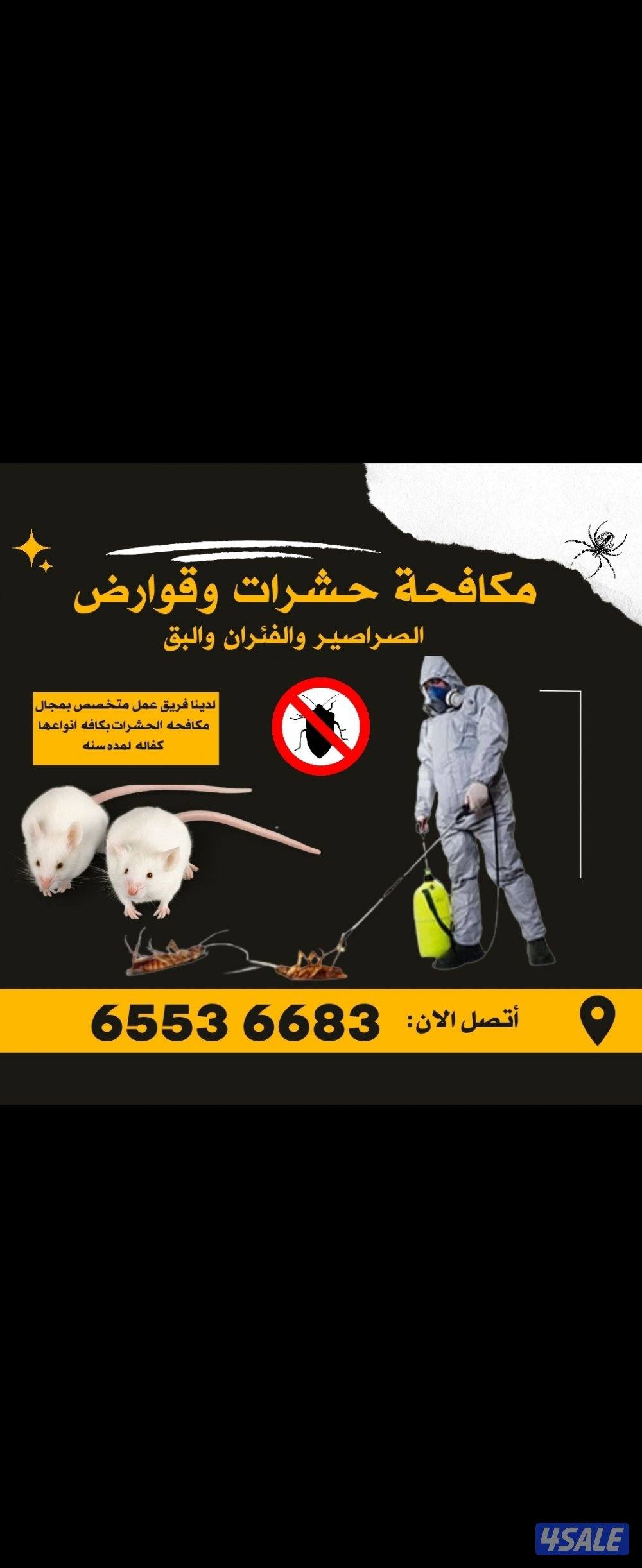 رش حشرات صراصير0