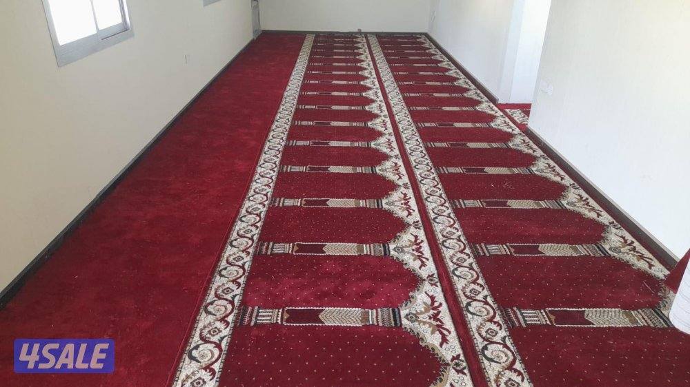 الضجيج مجمع غرلريا8