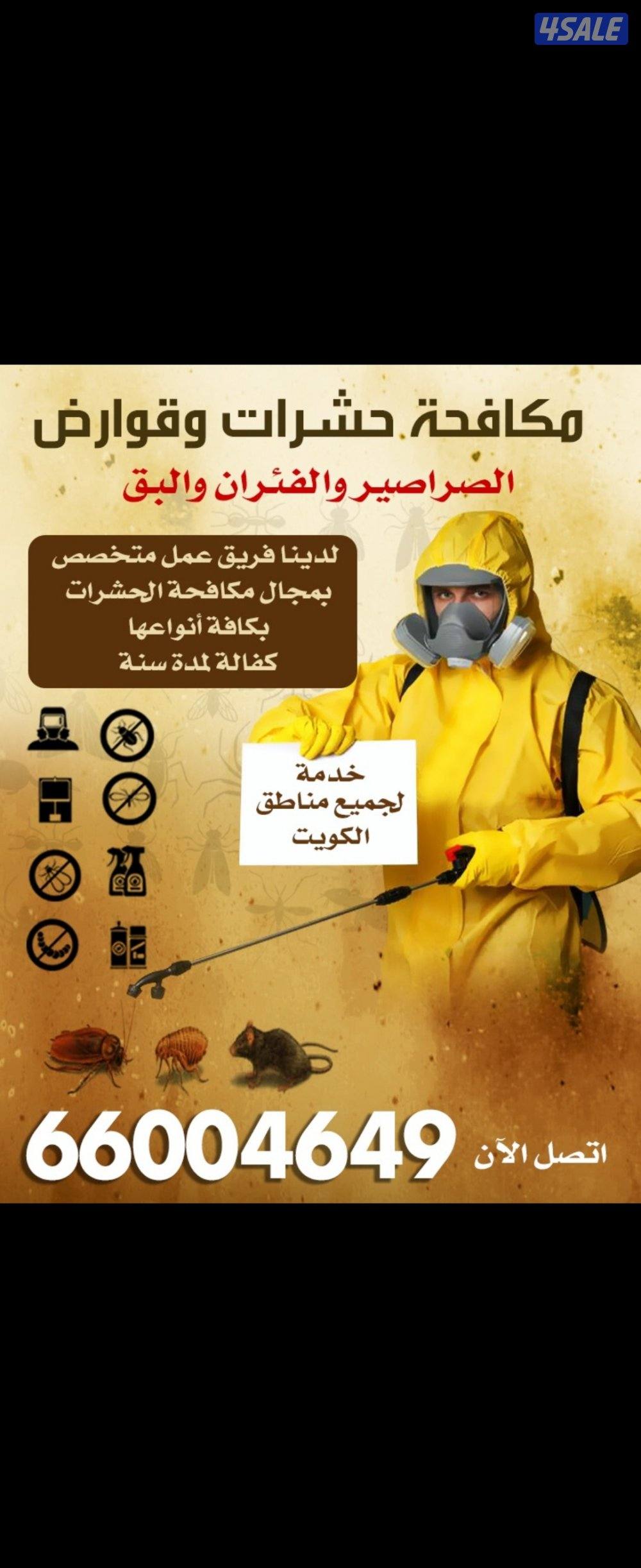 رش الحشرات0