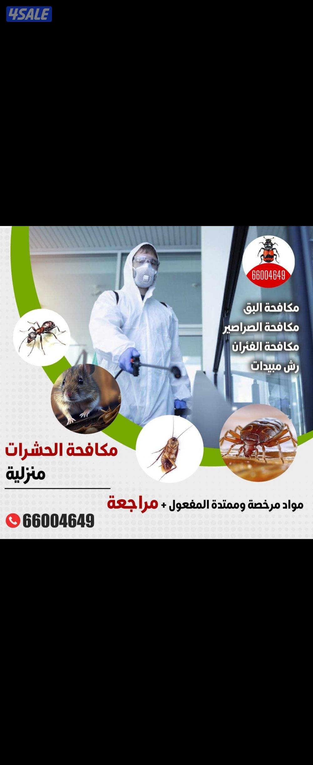 عجينة الصراصير0