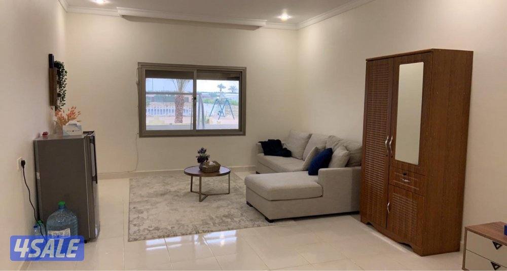 العبدلي مزرعة للعايلات10