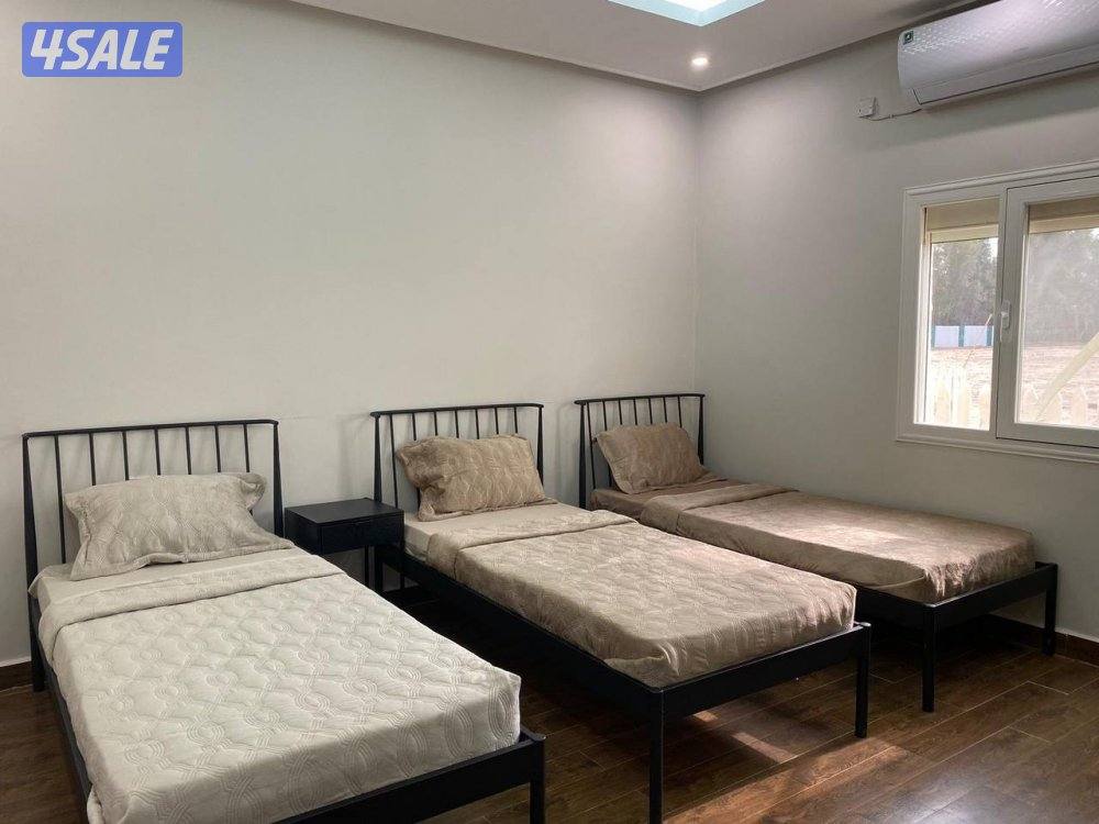 مزرعه ‏🌴palms villa🌴8