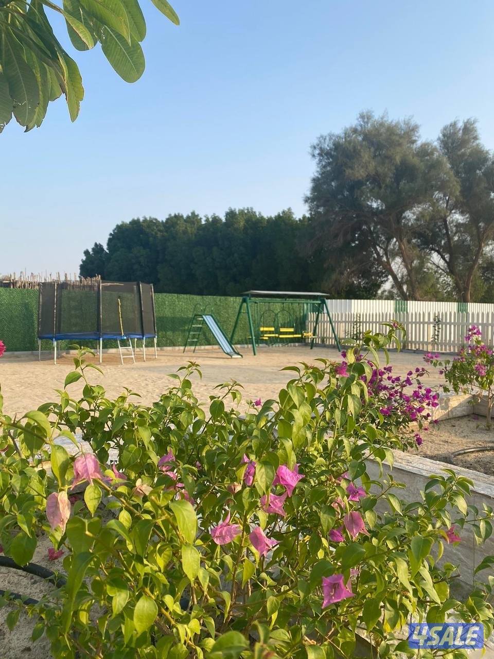 مزرعه ‏🌴palms villa🌴12