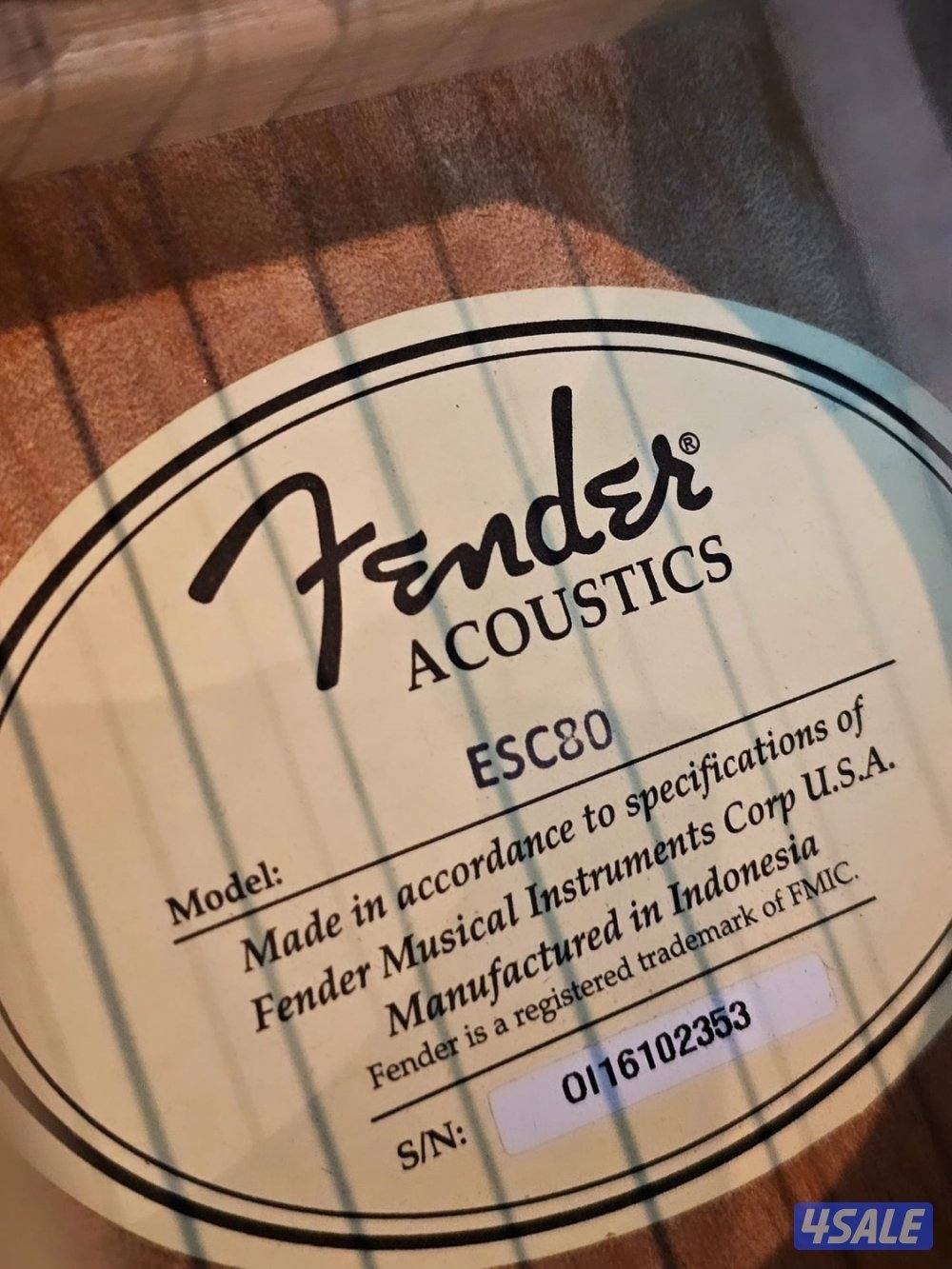 قيتار فندر اكوستيك Acoustic Fender4
