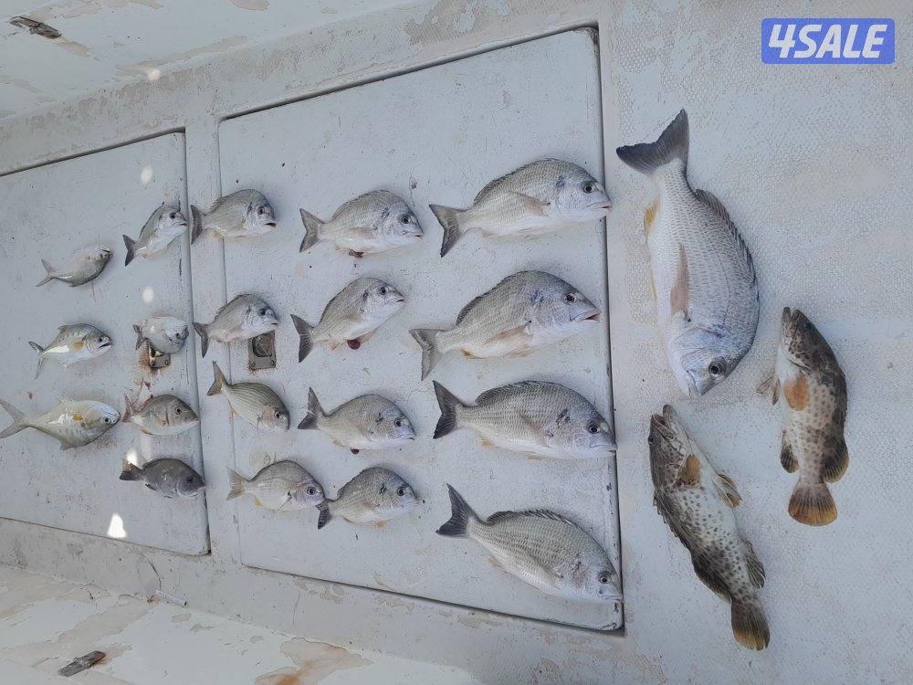 رحلات بحرية2