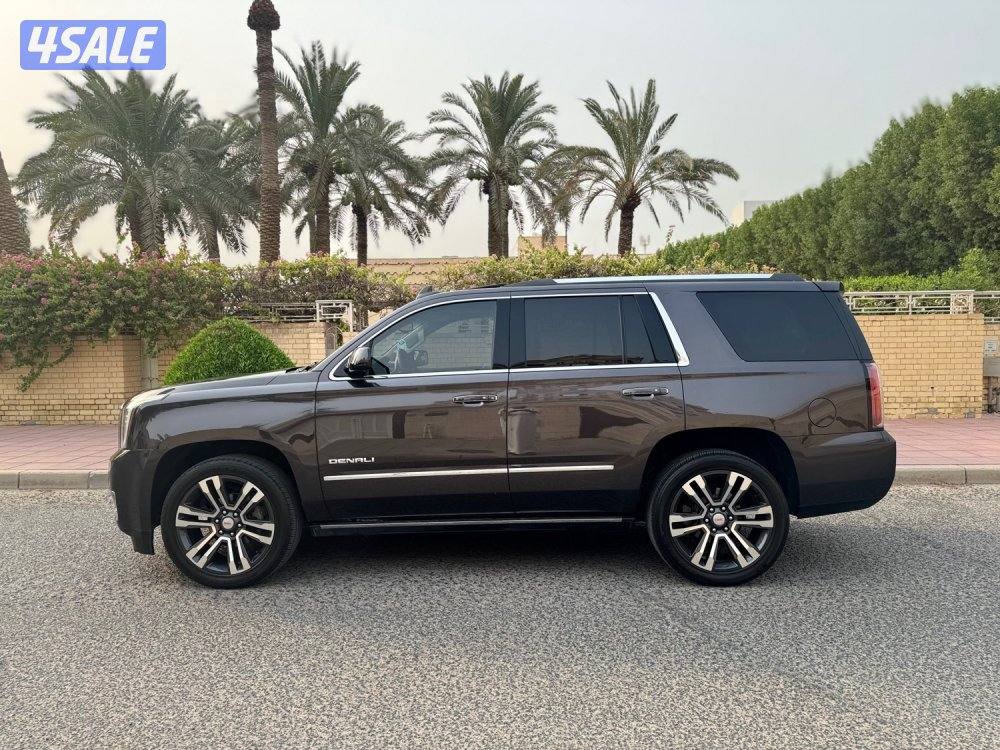 دينالي ٢٠١٨5