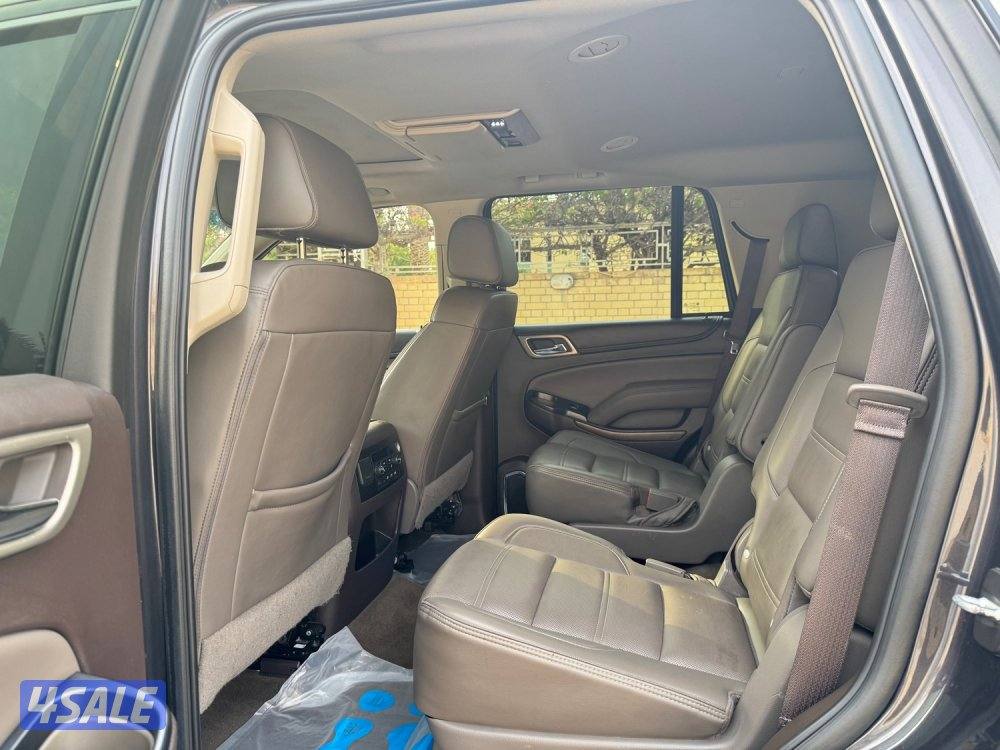 دينالي ٢٠١٨6