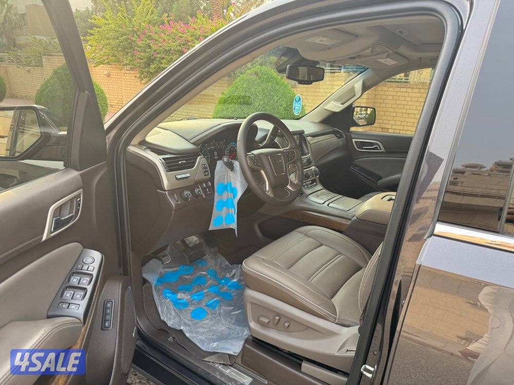 دينالي ٢٠١٨7