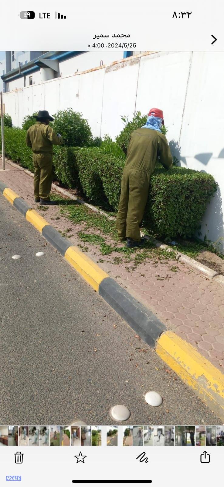 تنسيق حدائق قص الأشجار شبكات الري ترطيب تيل طبيعي وصناعي جميع الأعمال2