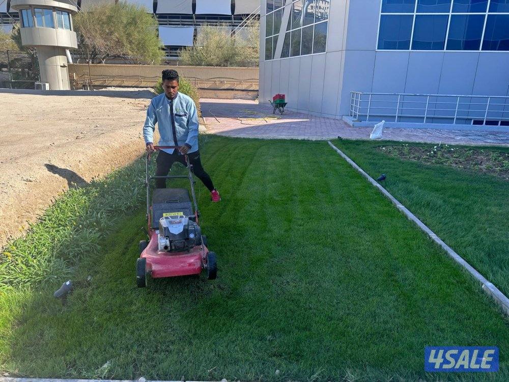 تنسيق حدائق قص الأشجار شبكات الري ترطيب تيل طبيعي وصناعي جميع الأعمال4