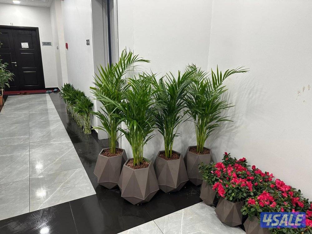 تنسيق حدائق قص الأشجار شبكات الري ترطيب تيل طبيعي وصناعي جميع الأعمال10