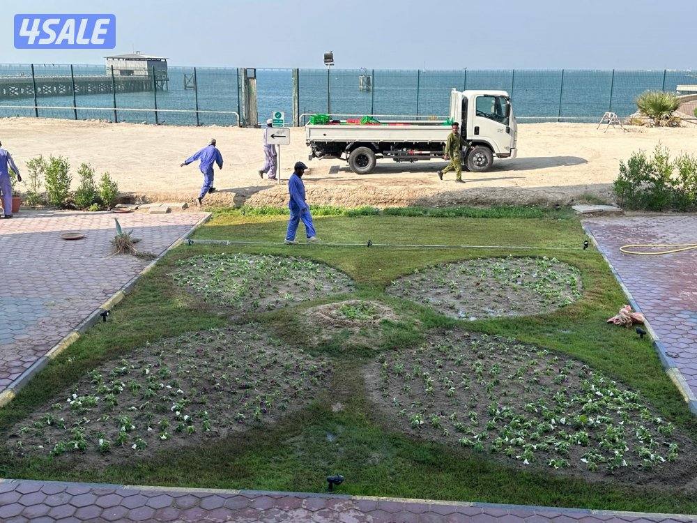 تنسيق حدائق قص الأشجار شبكات الري ترطيب تيل طبيعي وصناعي جميع الأعمال11