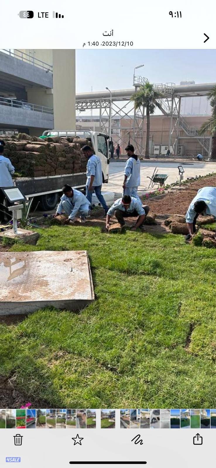 تنسيق حدائق قص الأشجار شبكات الري ترطيب تيل طبيعي وصناعي جميع الأعمال14