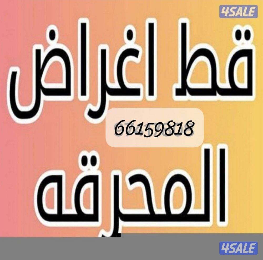 قط اغراض للمحرقه شيل الانقاض والأثاث التالف ٢٤ س1