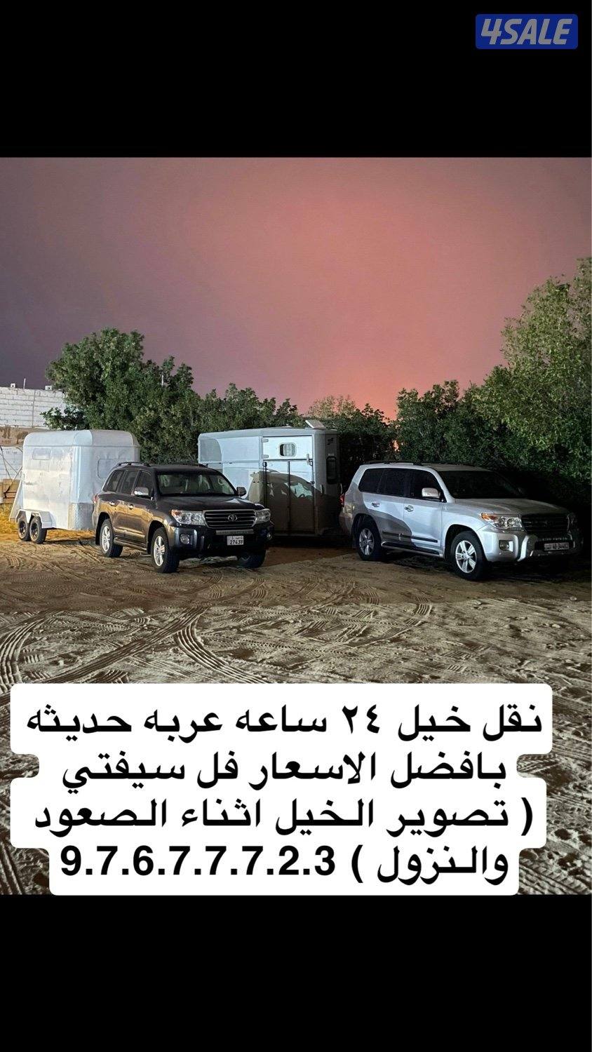 نقل خيل فل سيفتي ٢٤ ساعه 🐎 اسعار مناسبه جداً0