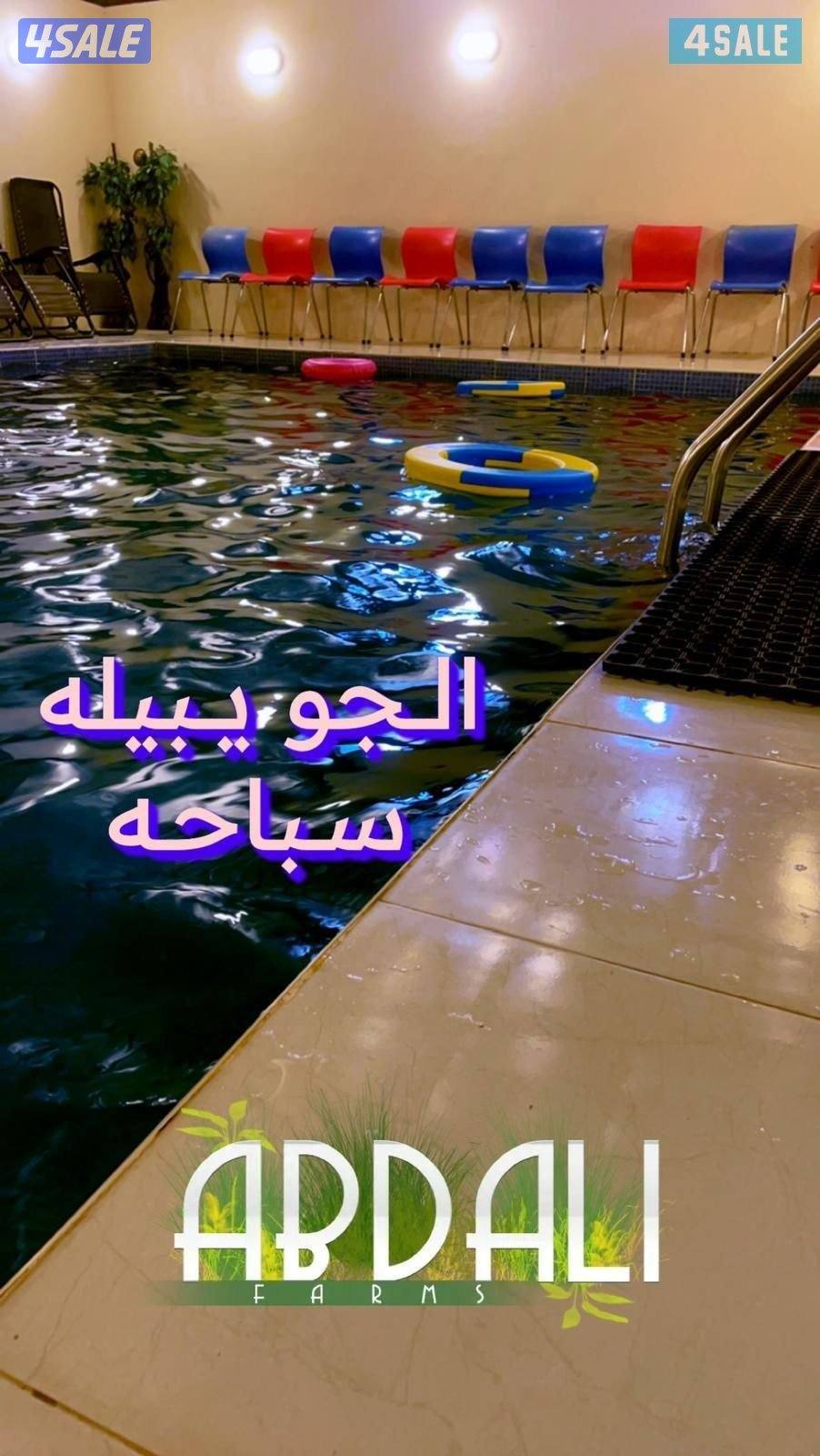 الدرة فارم V.I.P القشعانية العبدلي1