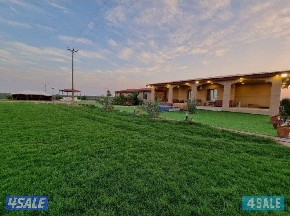 الدرة فارم V.I.P القشعانية العبدلي3