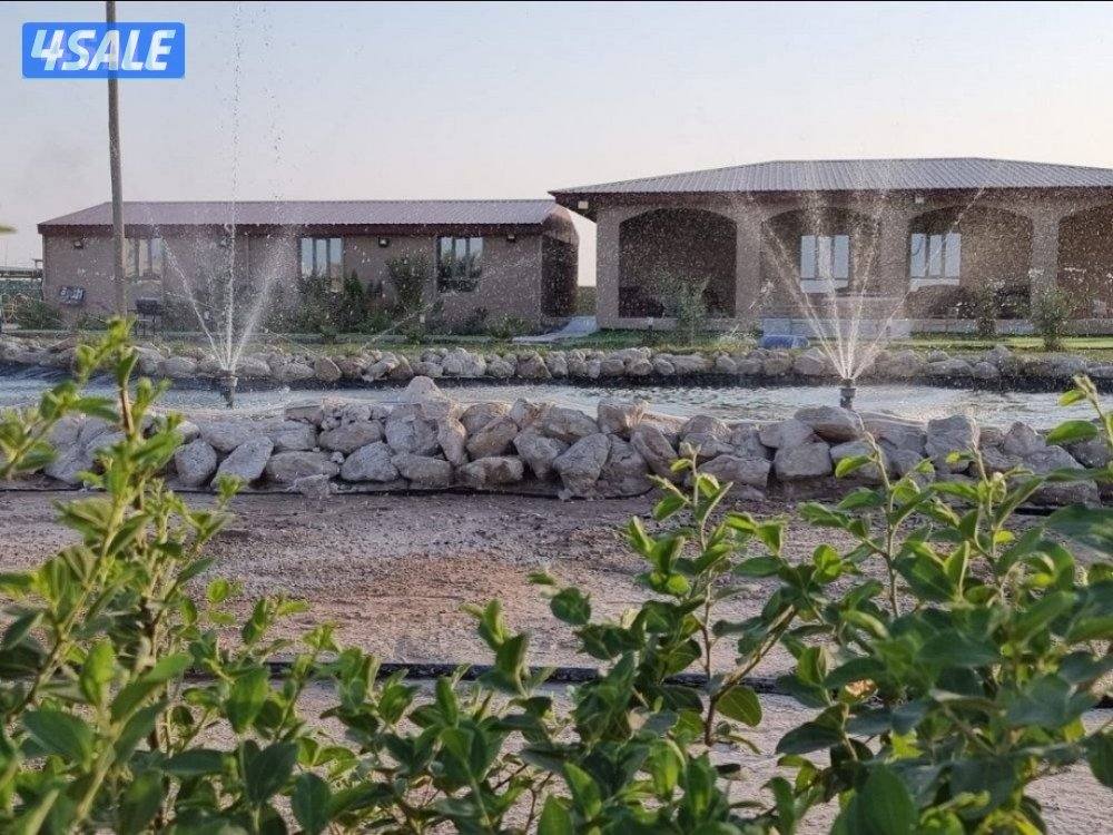 الدرة فارم V.I.P القشعانية العبدلي4