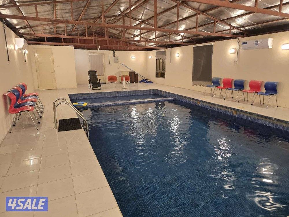 الدرة فارم V.I.P القشعانية العبدلي7