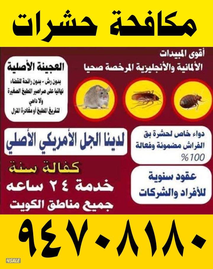 مكافحة حشرات وقوارض الكويت رش حشرات وقوارض الكويت0