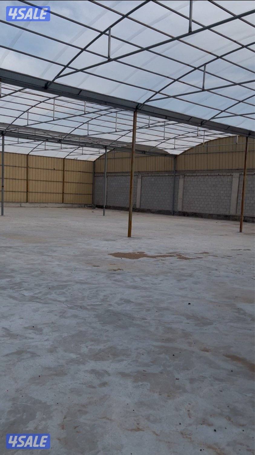 للاجار مخازن في مزارع الصليبيه وكبد3