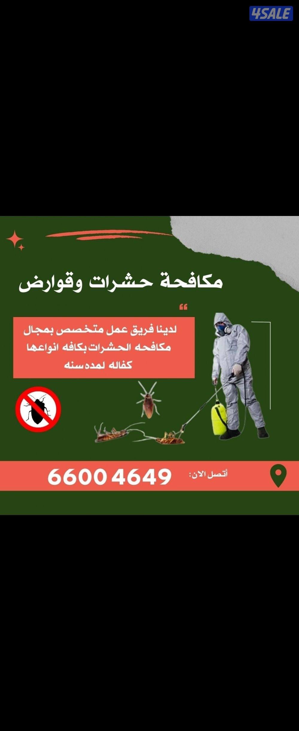 رش بق الفراش0