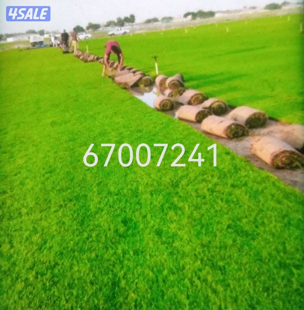 تنسيق حدائق ارخص الاسعار تيل صناعي تيل طبيعي أسوار تركي دزينات10