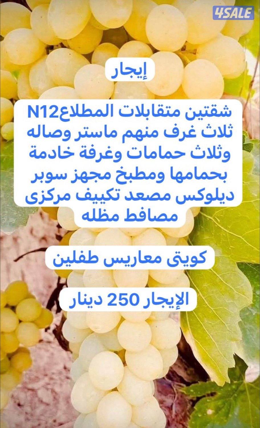 شقتين المطلاعN12 كويتى طفلين1