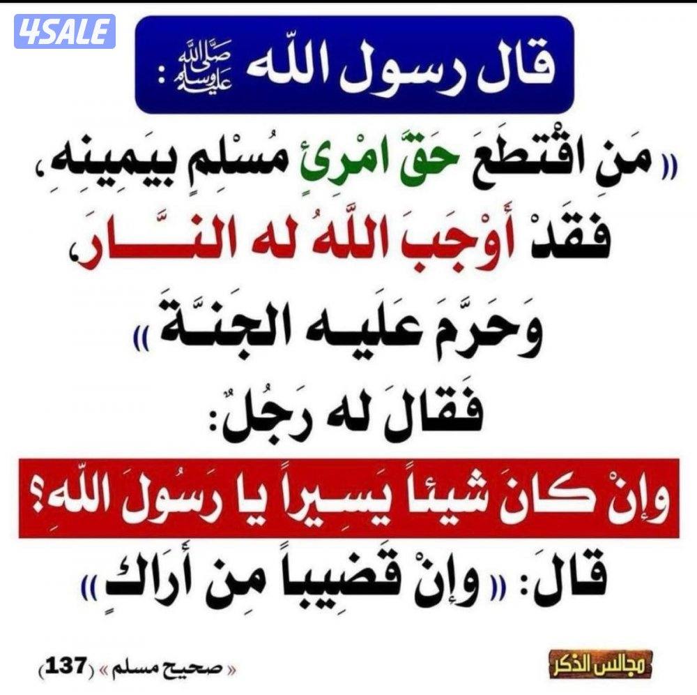 للإيجار شقق في العقيله وهديه وابو فطيره والفنيطيس0