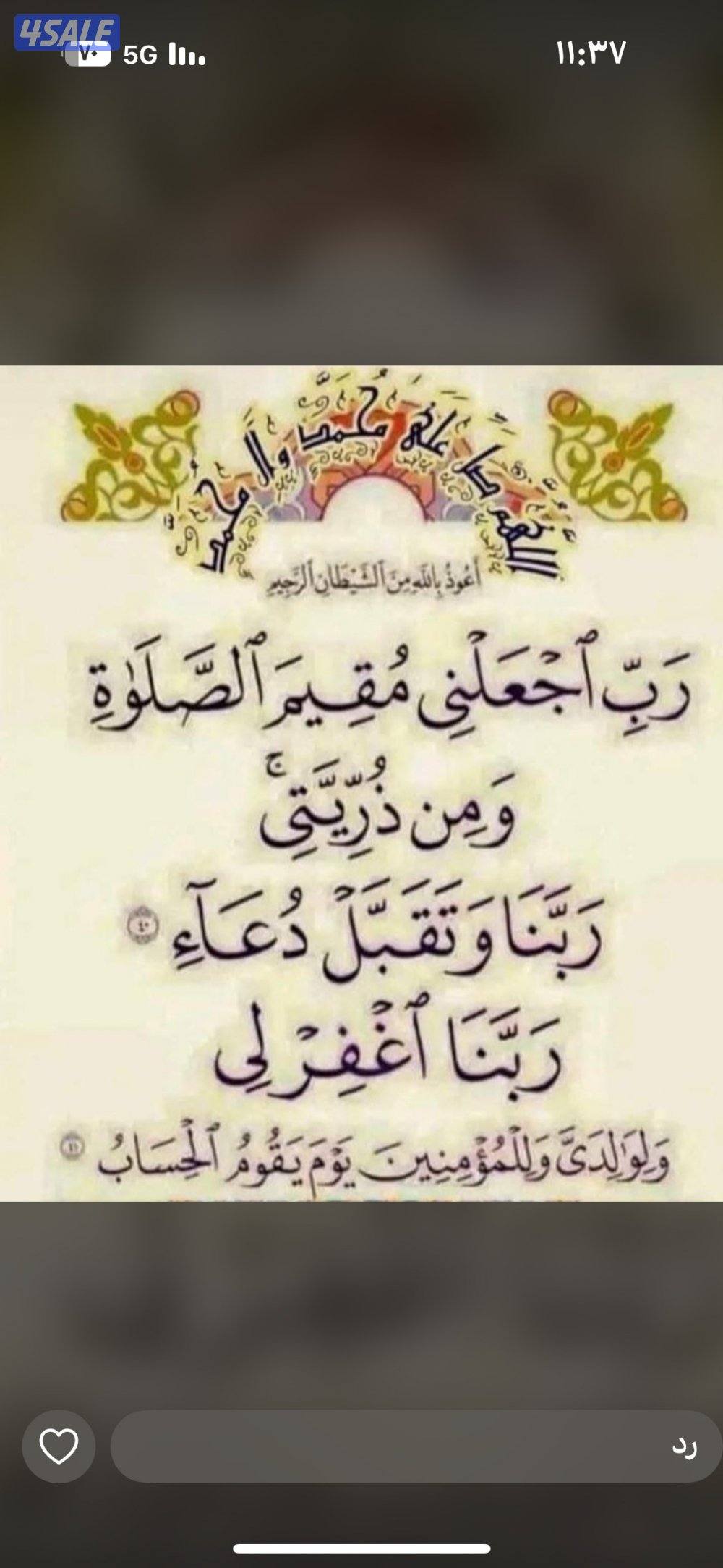 شقه من المالك مباشر0