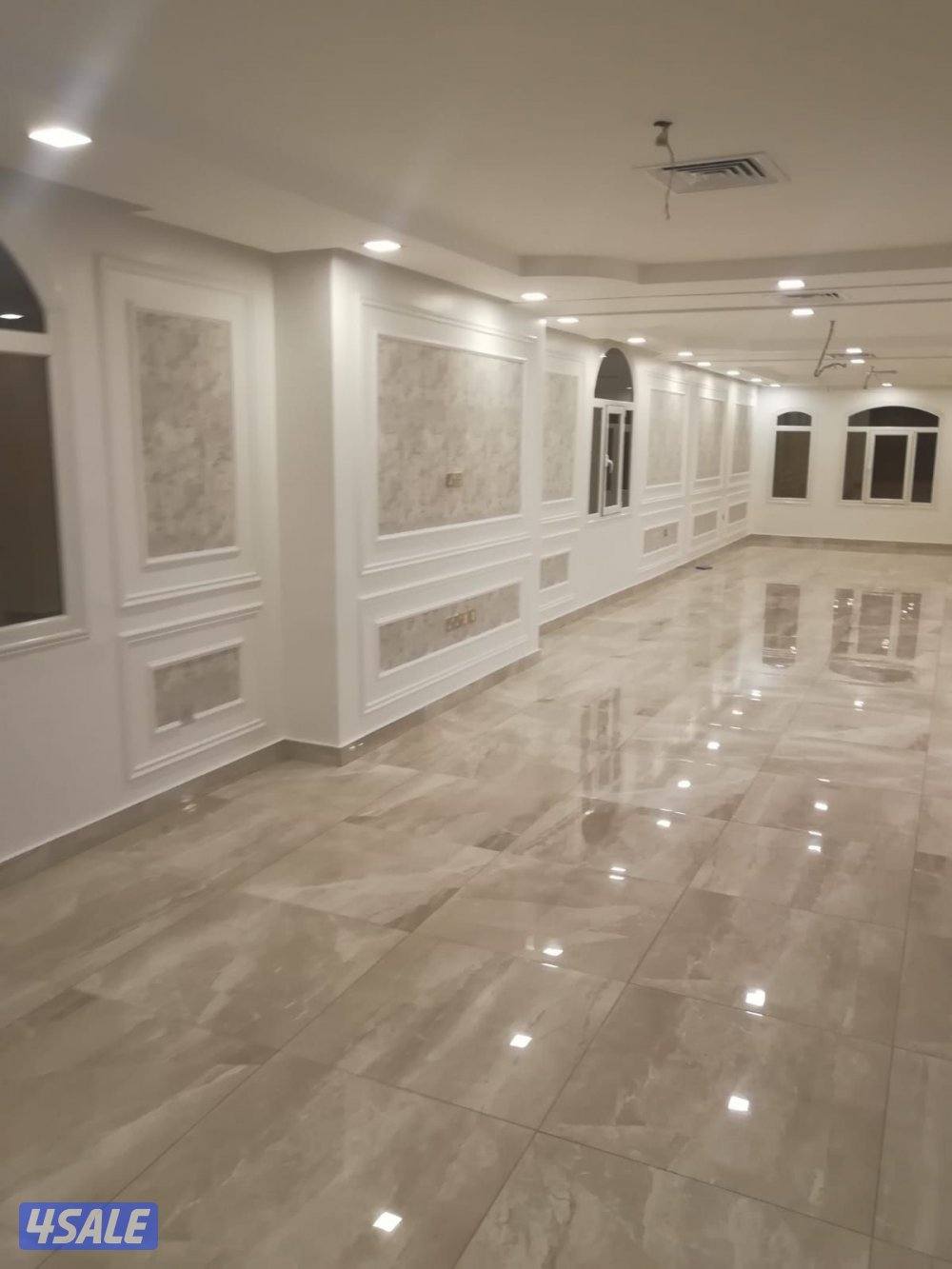 صباغ رخيص وعام12