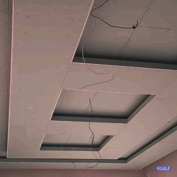 صباغ باكستاني5