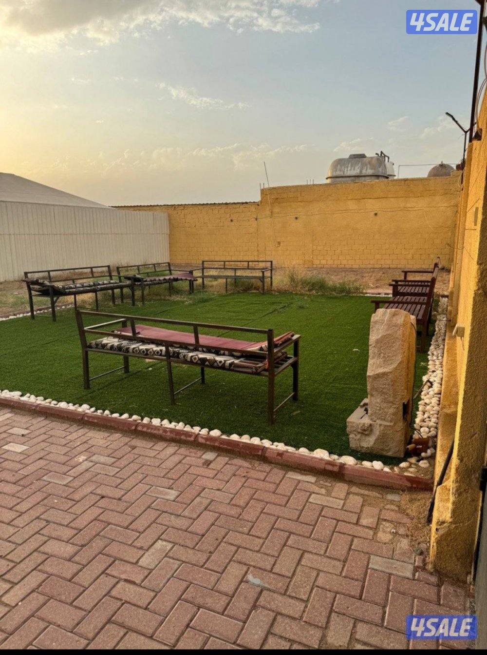 ايجار شهري نص جاخور بالهجن كبد شباب كبار1