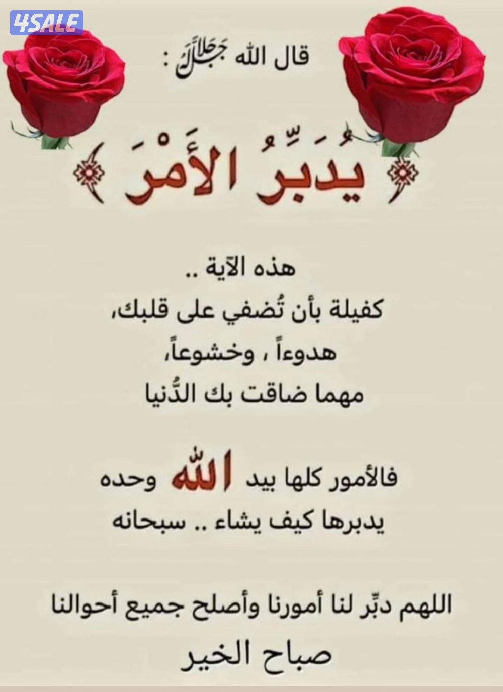 للايجار شقه فى الفنيطيس0