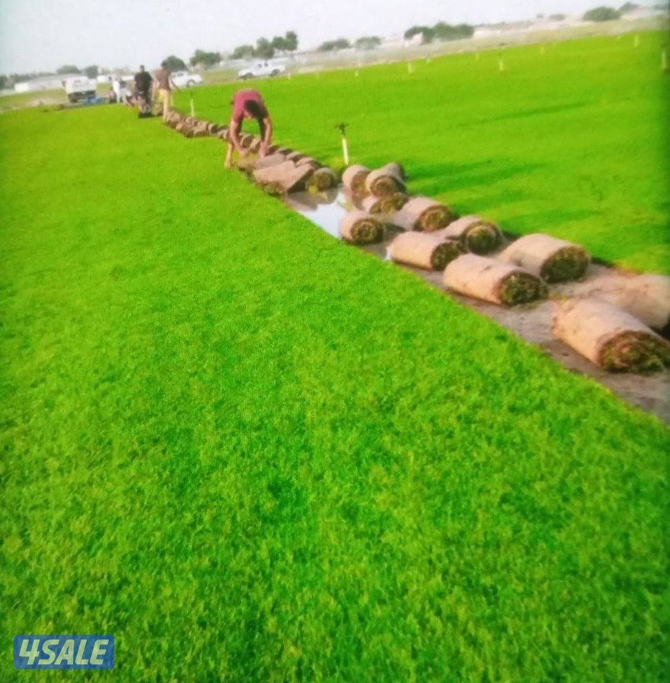ارخص الاسعار تيل صناعي تيل طبيعي أسوار تركي دزينات10