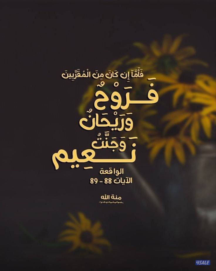 للإيجار استديوهات في الفحيحيل قطعة ٨0