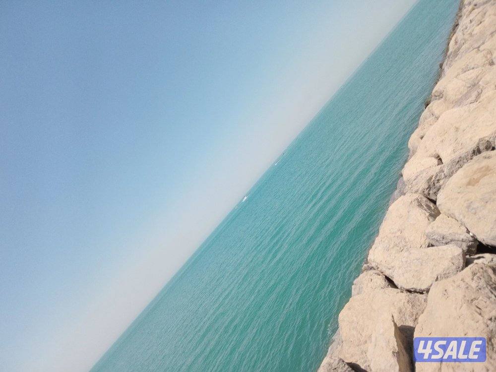 يوجد قروب لعرض الطيور الي يبي يدش خاااص0