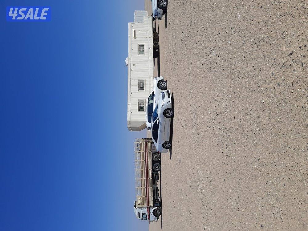 سحب شاليهات ونقل مخيمات ونقل عزبه وتحميل غنم3