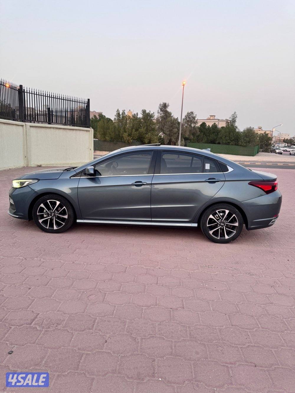 شيري اريزو 61