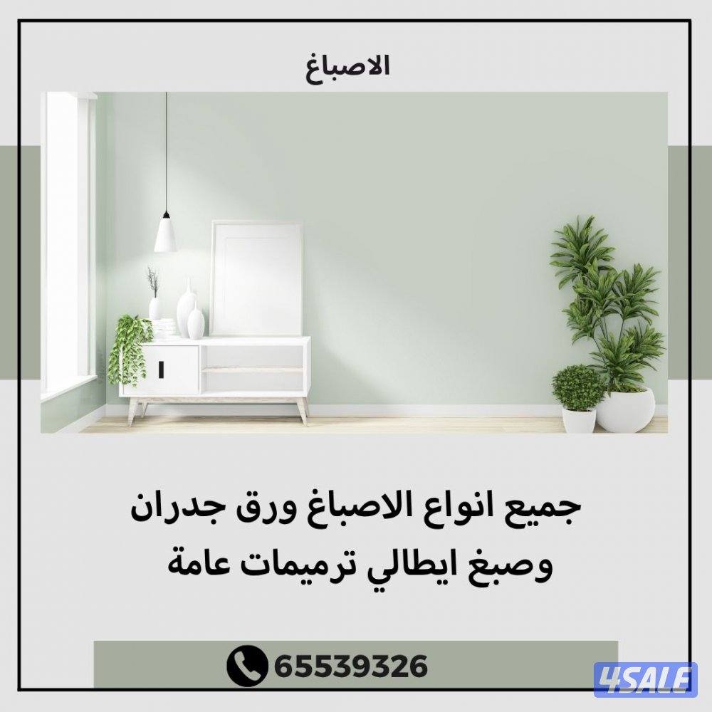 فني صبغ وديكور وجبسنبورت0