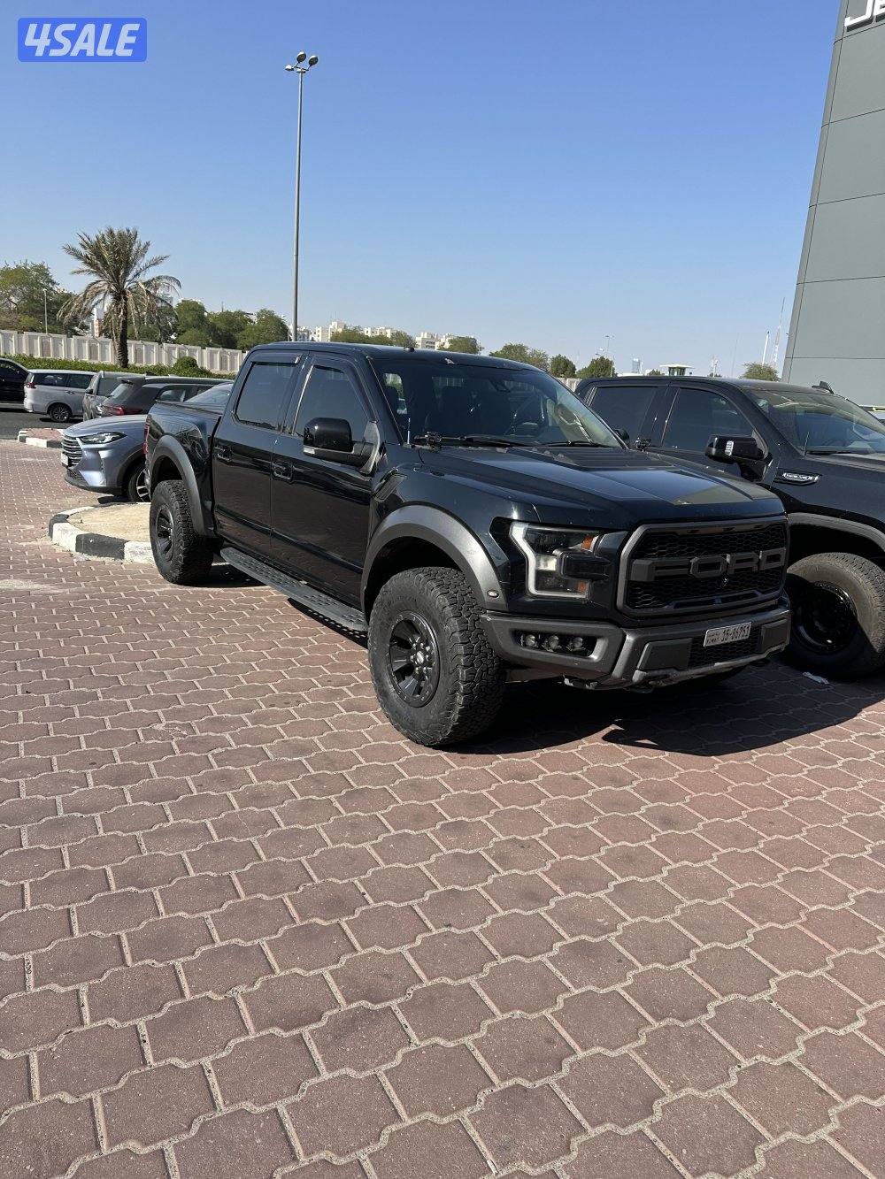 وانيت رابتر  20180
