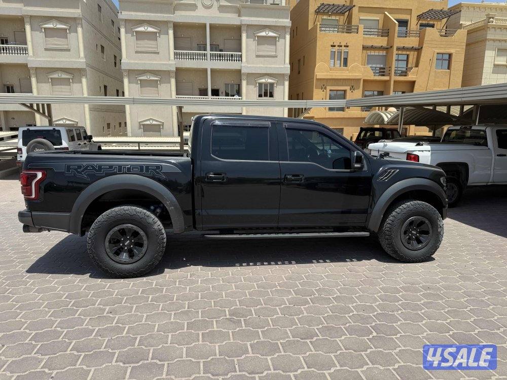 وانيت رابتر  20182