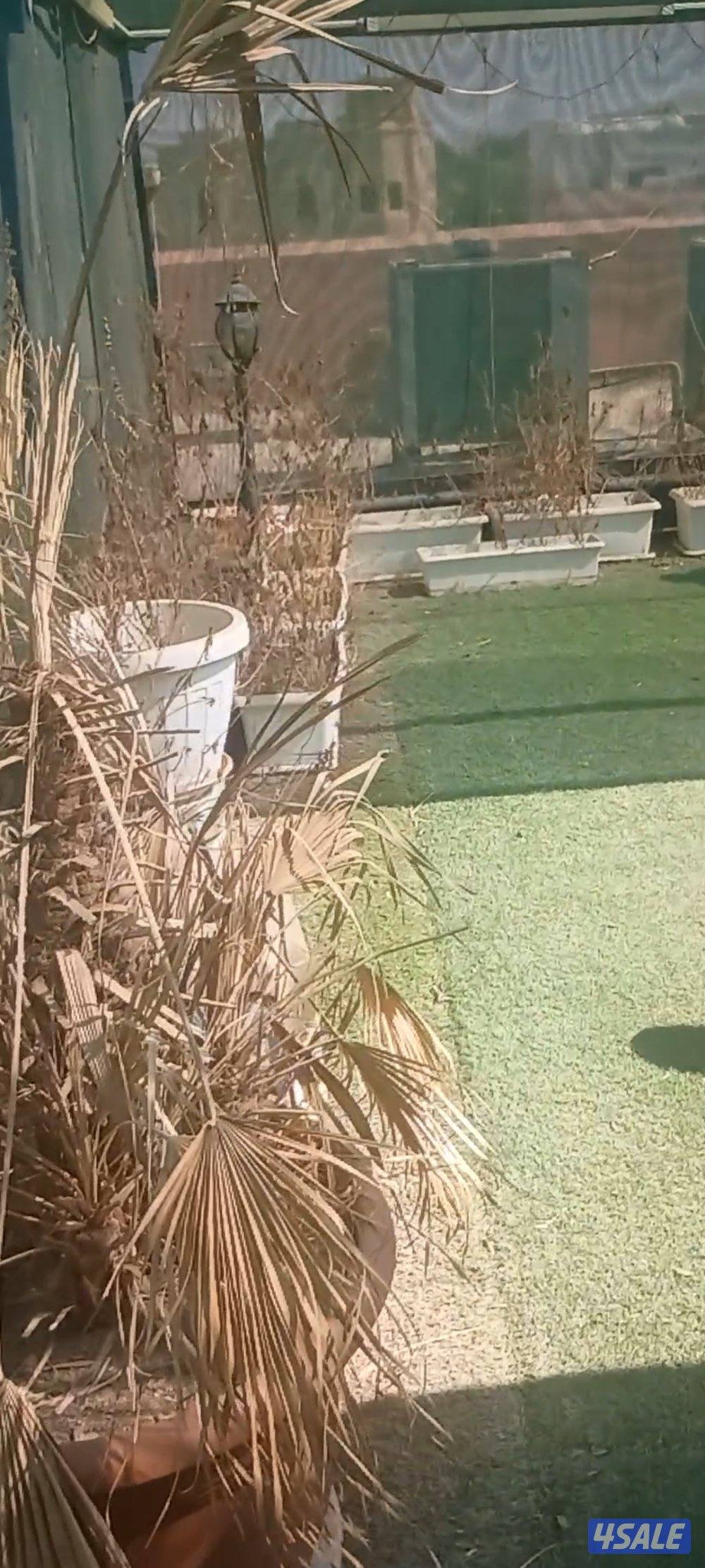 شقة بالجابرية دور 3 وروف كبير 3 غرف و4 حمامات مع خيمة وجلسةغرفة للساىق5