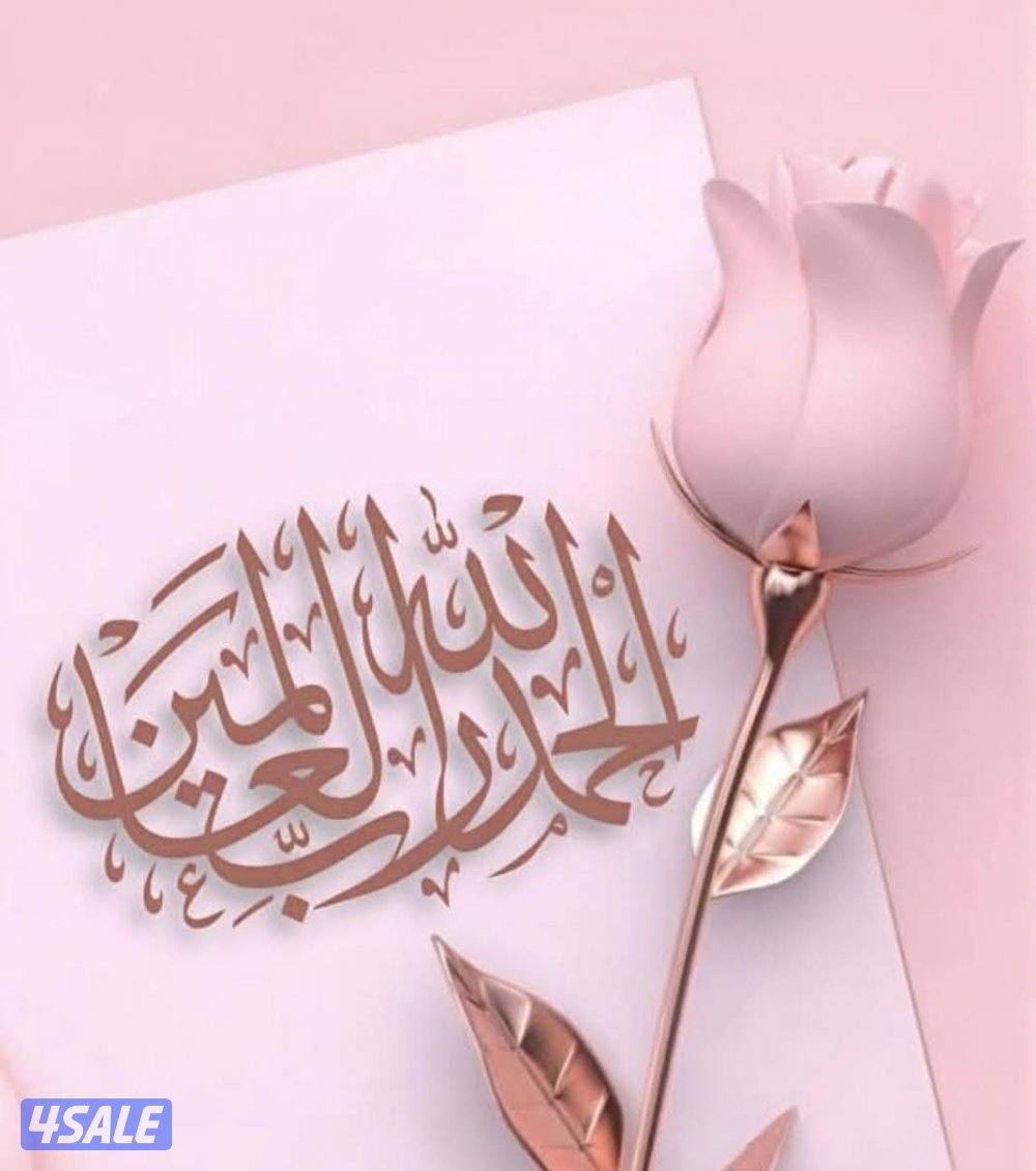 معلم ديكور باكستانىو جبسم بورد و اصباغ4