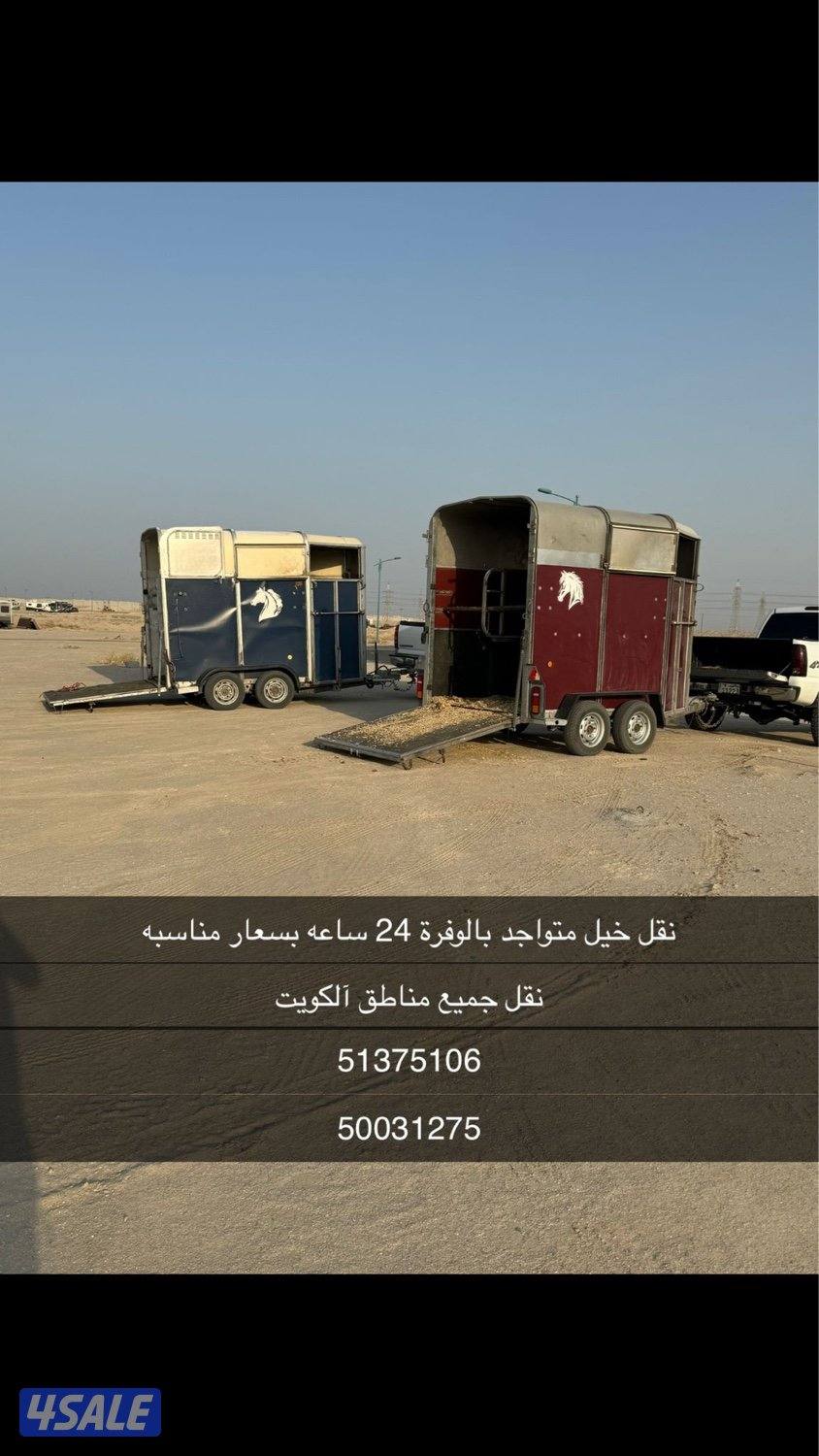 نقل خيل متواجد بالوفرة0