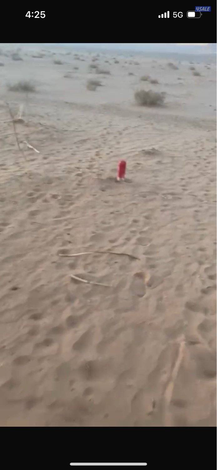 ارض للبيع في المملكة الأردنية قرب مزرعة الشيخ زايد2