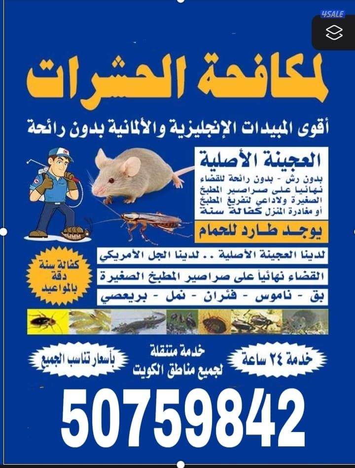 مكافحة حشرات وقوارض بارخص الاسعار كفاله سنه جميع مناطق الكويت0