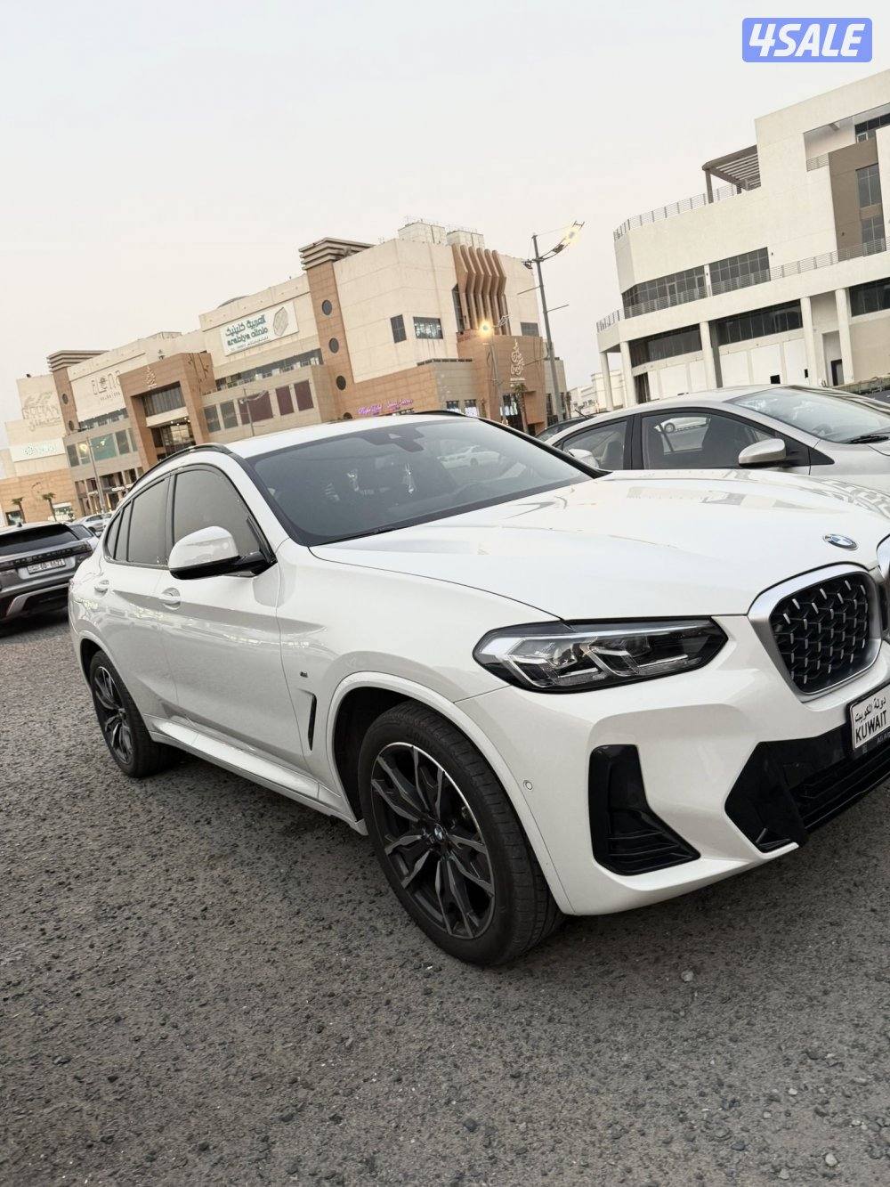 Bmw x4 20244